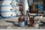 Морской конек